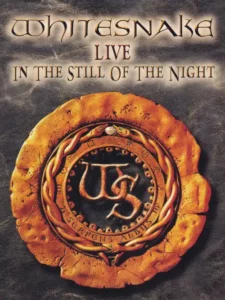 Copertina del DVD "Live In The Stll Of The Night". un capolavoro da guardare e riguardare. Troviamo una riflessione all'interno del blog